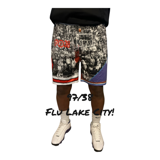 Jordan Flu Shorts